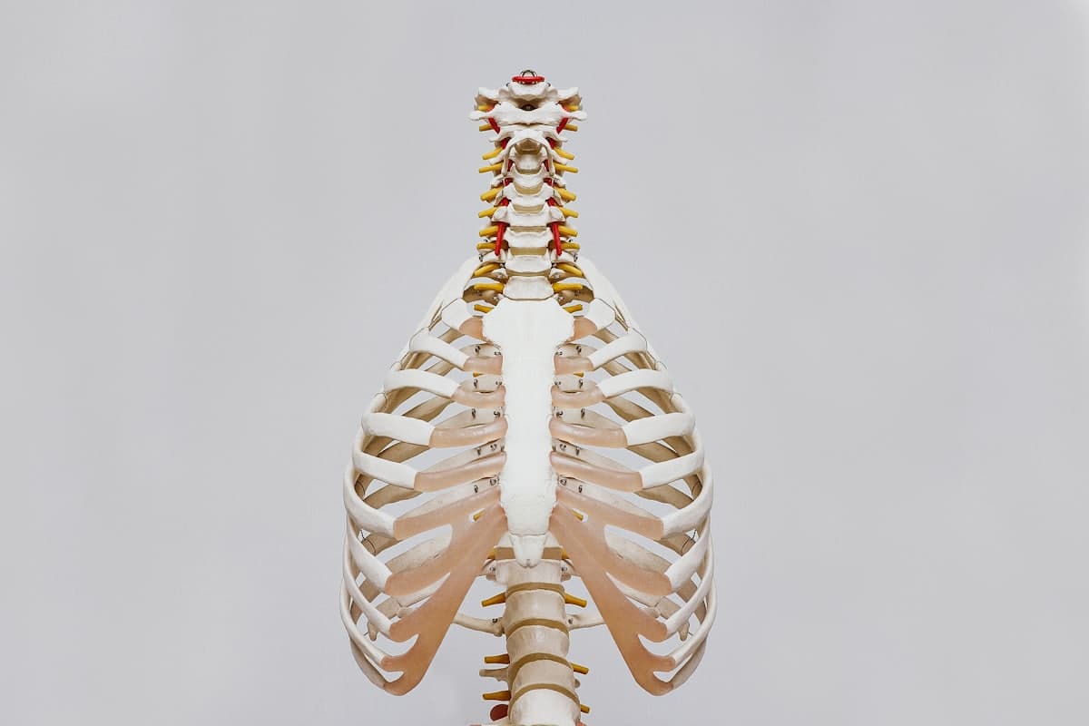 Düz Tabanlık (Pes Planus) Nedir? Belirtileri ve Fizyoterapi Yaklaşımı — Fzt. Senem Elmalı, Bahçelievler fizyoterapi